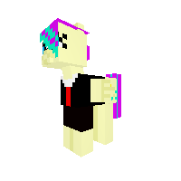 custom pony