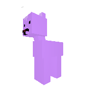 Ditto