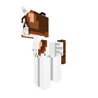 Ericsa23 Upgrade