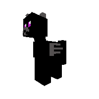 EnderDragon