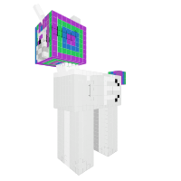 New Pony