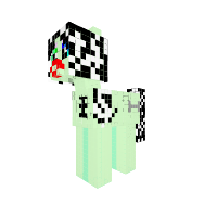 Frankie pony