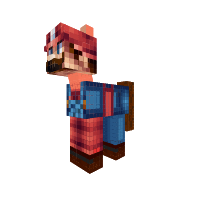 Mario Pony