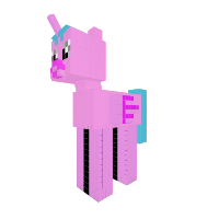 cotencandy
