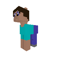 Steve