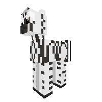 zebra stalion