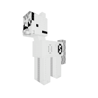 New Pony