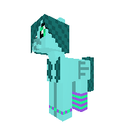 My pony skin