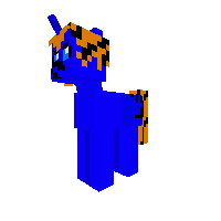 New Pony