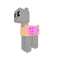 nuan cat