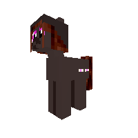 Andr Pony