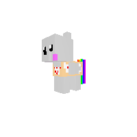 Nyan Pony