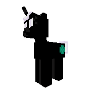 ender pony