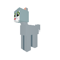 Tom