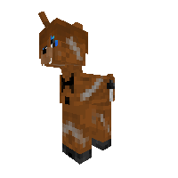 Cool Freddy