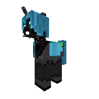 Test Pony