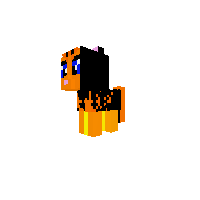 Cat Pony