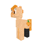 New Pony