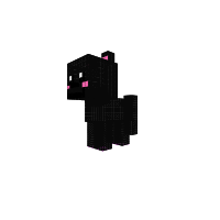 Kitty