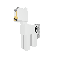 New Pony