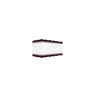 Ice Cream Sandwich