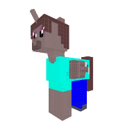 New Pony