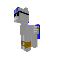New Pony