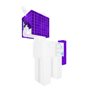 princess rarity