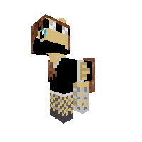 My skin as a pony