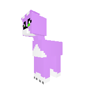 My sister's normal minecraft skin