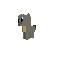 chinchilla pony