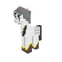 Warrior Pony