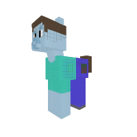 steve