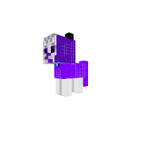New Pony