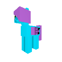New Pony