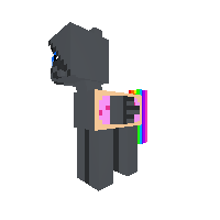 Nyan Pony