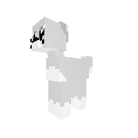 Cat base :3