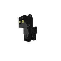 Night Shadow Wolf