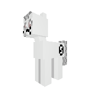 a cat