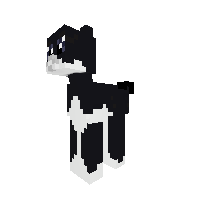 bob tail cat