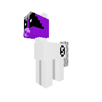 New Contest pony