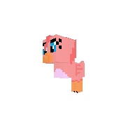 BIRD CONTEST (read whole description)