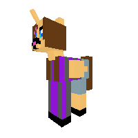 New Pony