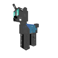 New Pony