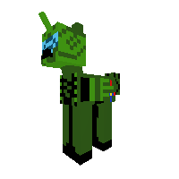 New Pony