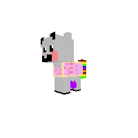 Baby niayn cat