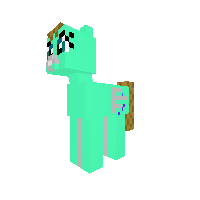 New Pony