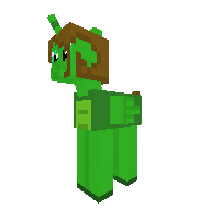 Alicorn Turtle!