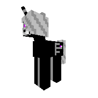 ENDER DRAGON