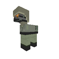 US marine-pony